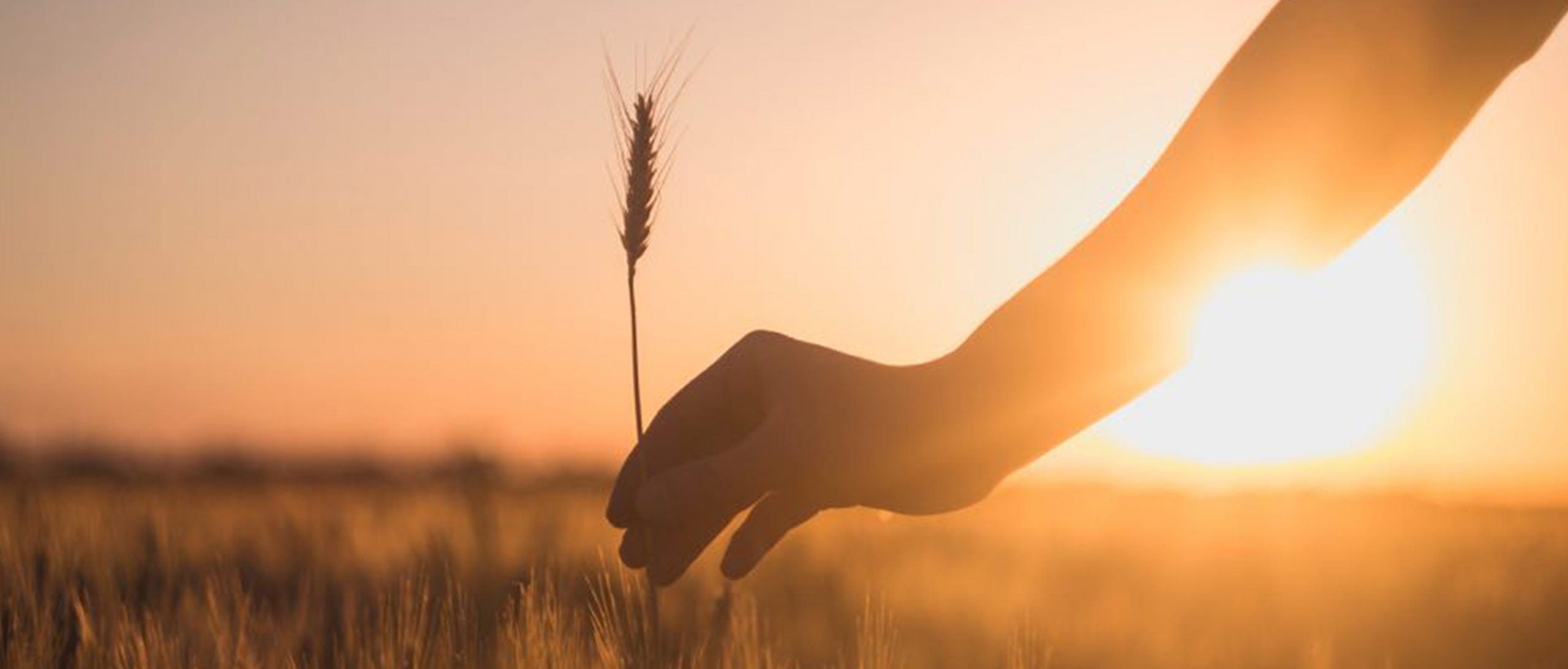 It is well with my soul!